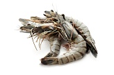 Басы бар жолбарыс асшаяндары, 16/20 - 1кг, Бангладеш / Tiger Shrimps, Head on 16/20 pcs./lb, Bangladesh